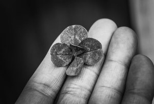 tiến lên di động Kubet